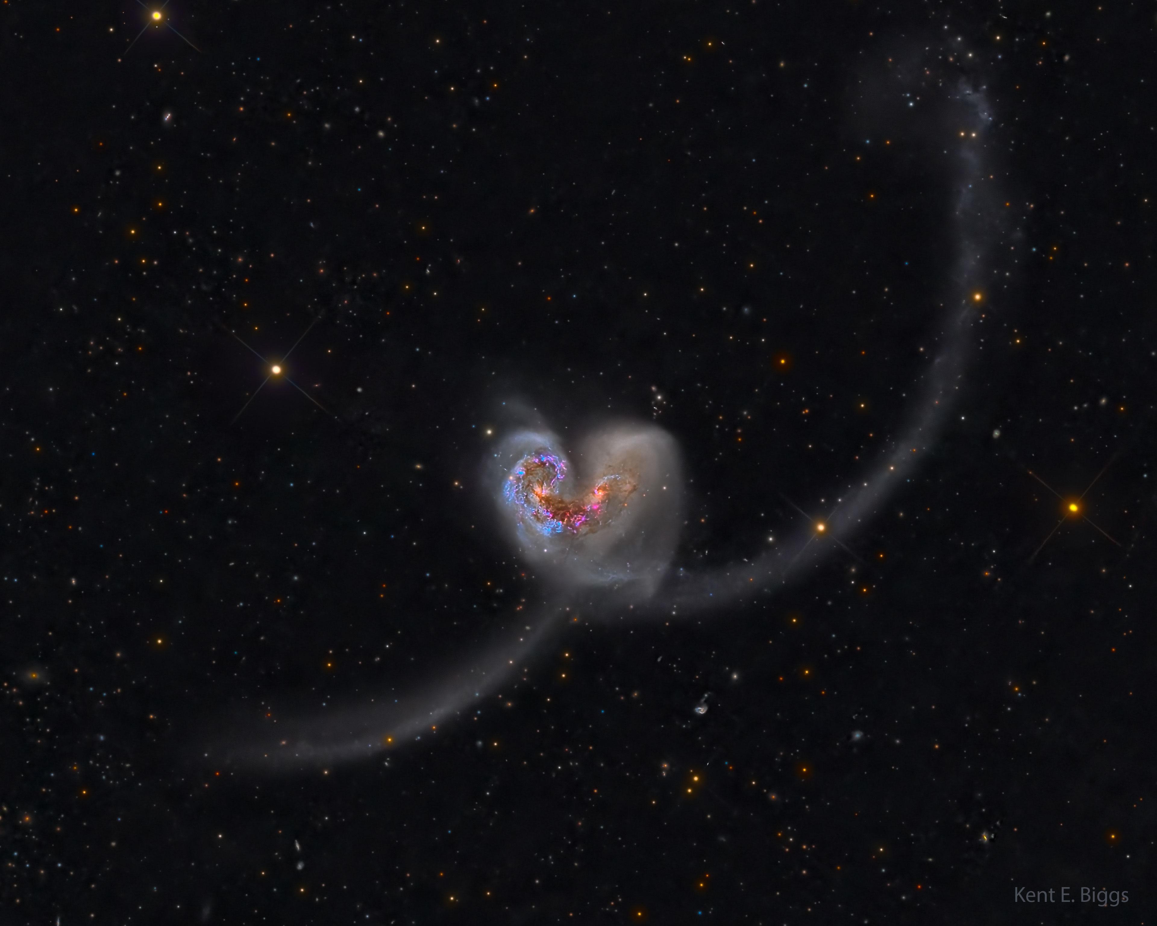 تُرى مجرّتان تتصادمان عند مركز الصورة. تبدوان معاً كأيقونة قلبٍ كلاسيكيّة لكن مع ذيلَين طويلَين.