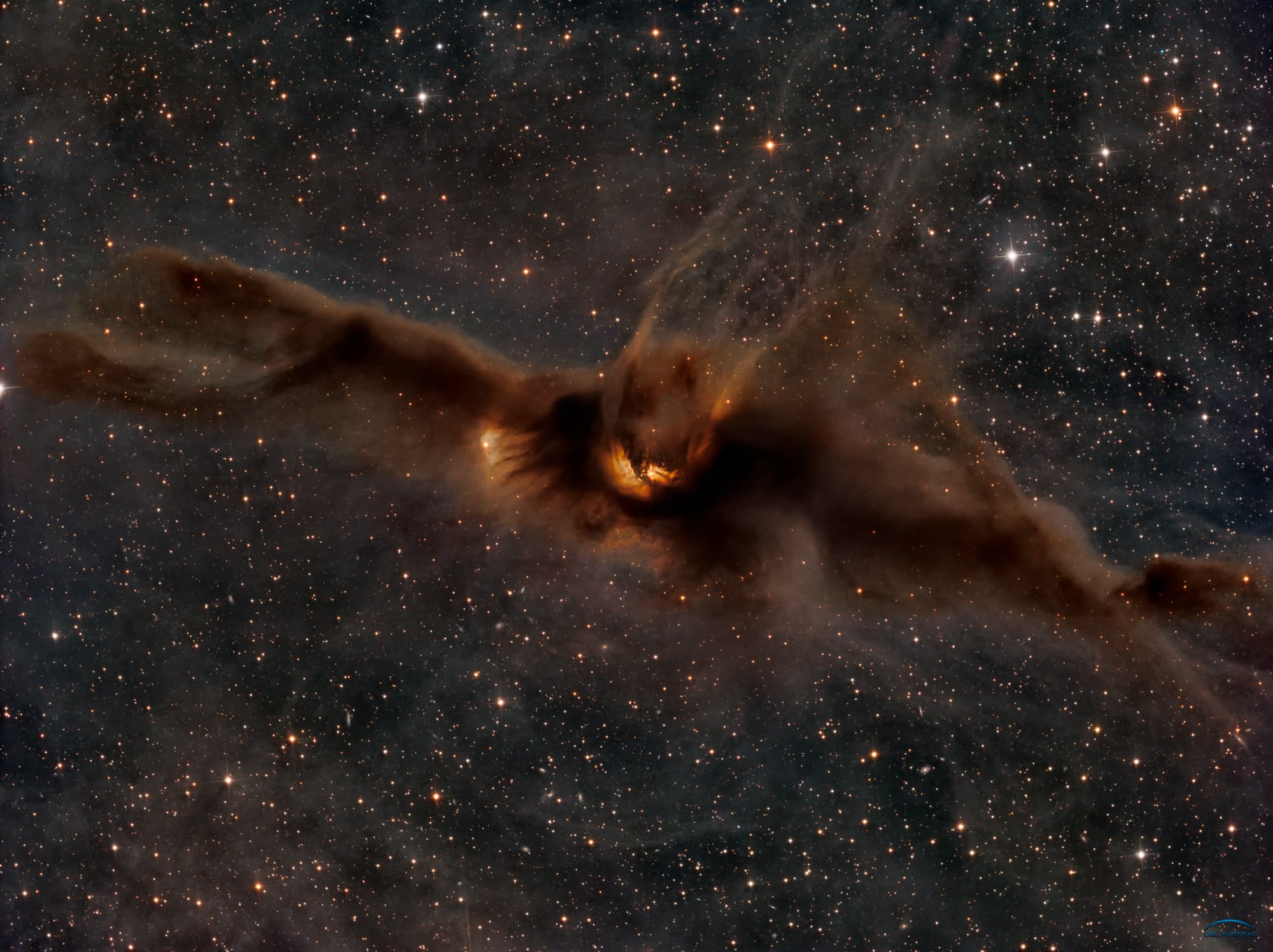 حقل نجوم في مركزه سديمُ غبارٍ بُنّيٌّ كبير. يبدو السديم -للبعض- على شكل خفّاش، حتّى أنَّ أحد النجوم في سديم الغبار يبدو وكأنّه عين الخفّاش.