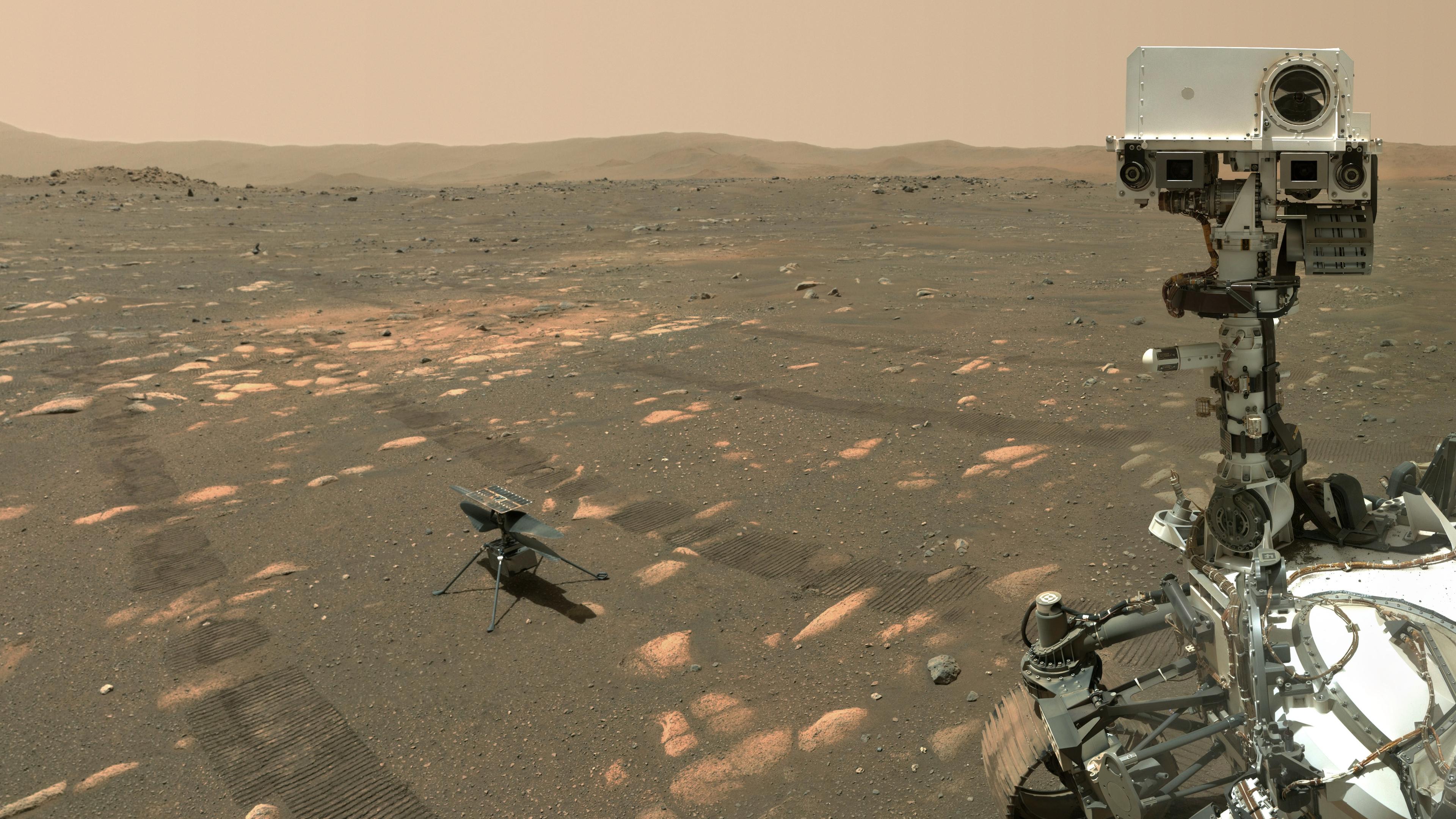 جزء من عربة المثابرة وأحد أذرعها الممدودة التي تحمل الكاميرا التي التقطت الصورة، ومن خلفها مروحيّة البراعة. يظهر سطح المرّيخ الواسع وعليه آثار عجلات المركبة.