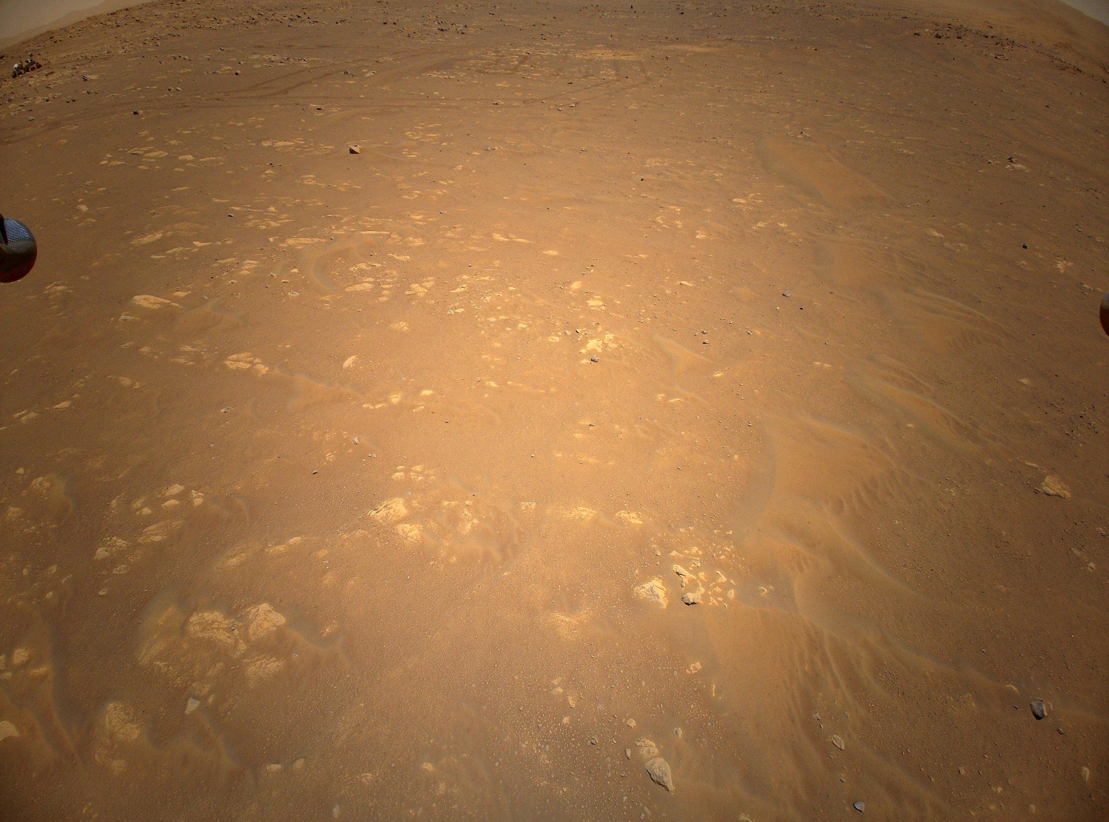 صورة جوّية قريبة لسطح المرّيخ تظهر فيها الأتربة والأحجار، تظهر في أعلى الصورة مسارات عربة المُثابرة الجوّالة وفي أقصى اليسار العربة نفسها. يظهر من حافّتي الصورة اليمنى واليسرى طرفا رجلين من أرجل هبوط البراعة.