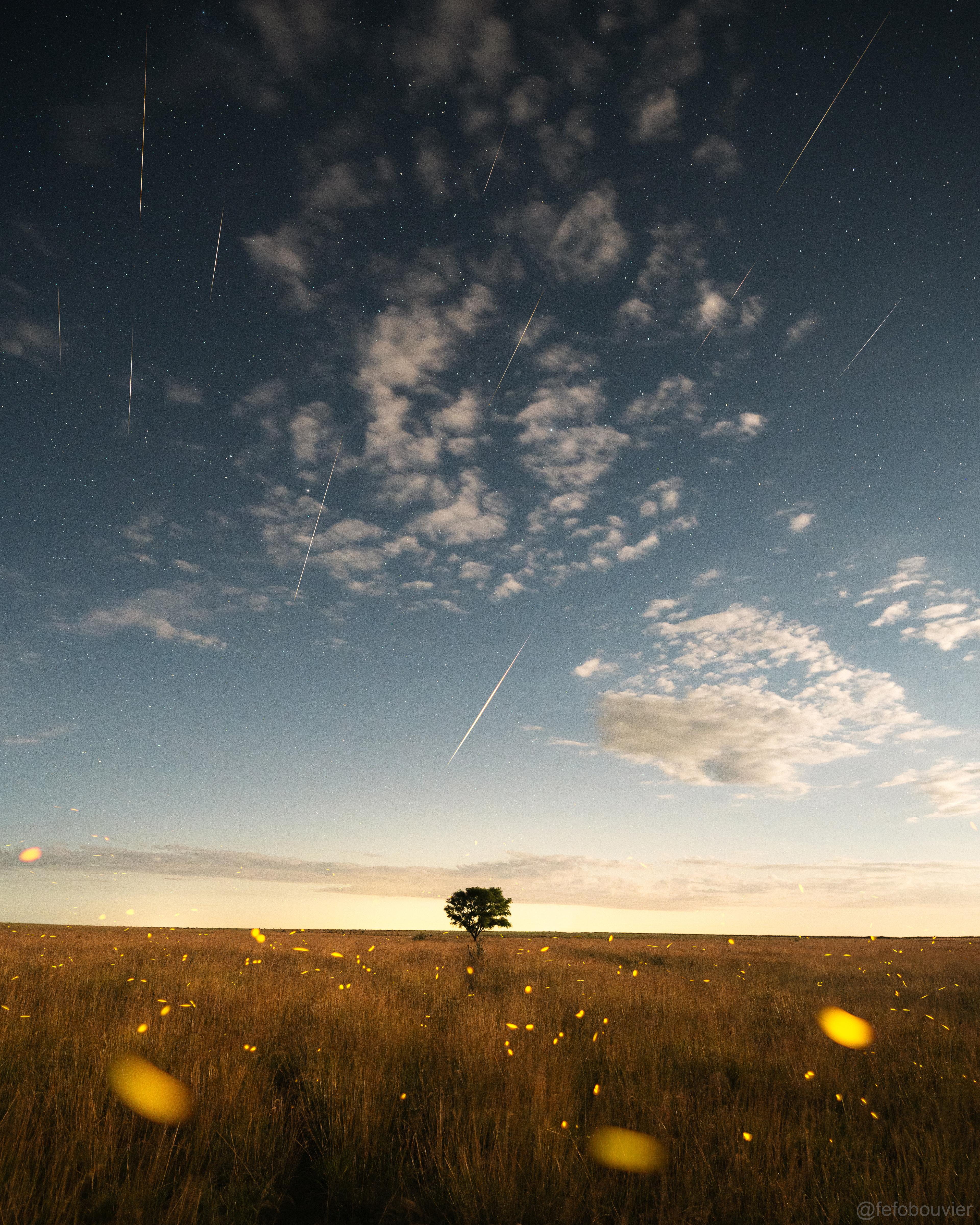 حقلٌ ريفي عشبي تطير فيه اليراعات وتهطل فوقه الشهب في سماءٍ ليلية تظهر فيها النجوم. هناك شجرة في منتصف الصورة، والسماء فيها بعض الغيوم وتزداد سطوعاً باتّجاه الأفق